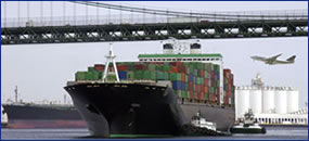 Freight Forwarding Software